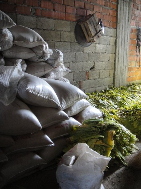 9935_141597693375_563903375_2485124_8097176_n