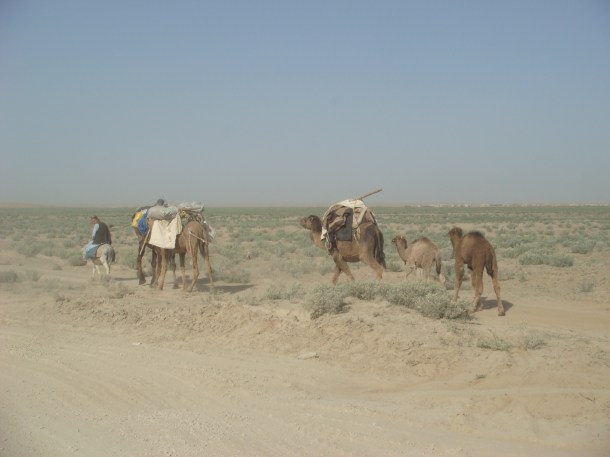 bedouin-afghanistan