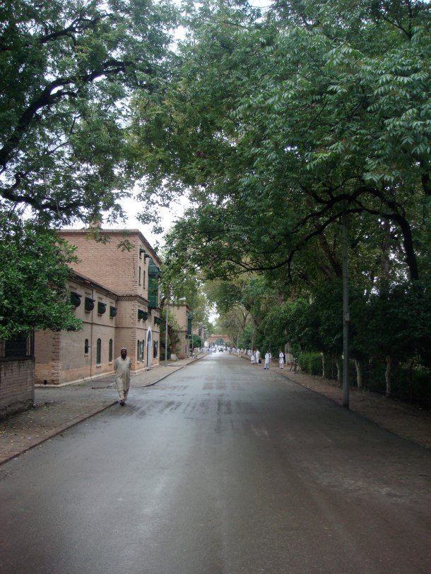 islamia-college-peshawar