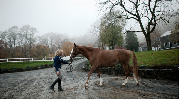 Ridge Farm in Tewksbury, N.J., leading Surfer Girl