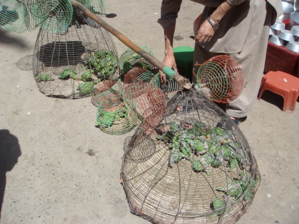 bird-market-peshawar