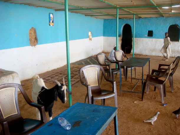 goat-in-restaurant-sudan
