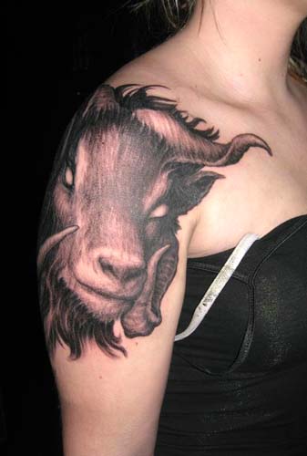 goat tattoos