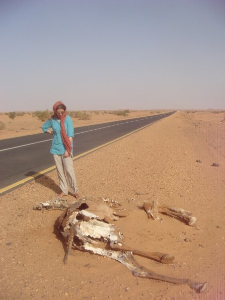 sudan-camel-killed sudan-camel-killed
