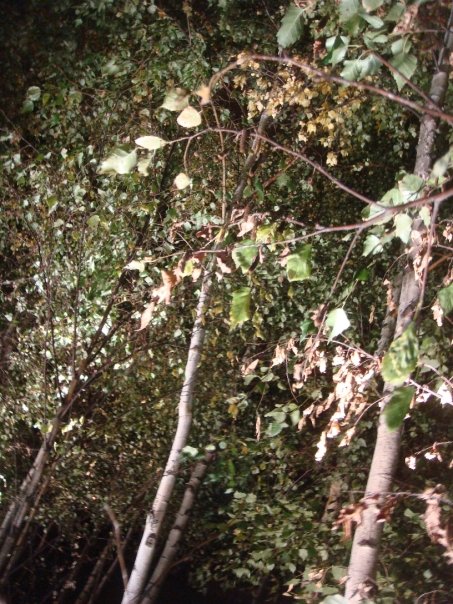 Grounds of the Tate Modern in London