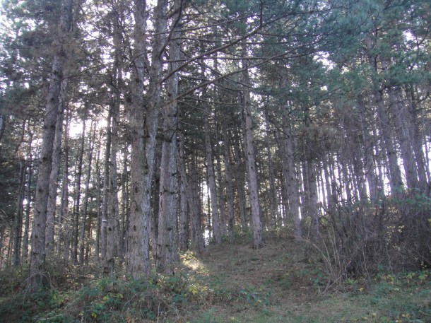 The Bulgarian countryside and the failure of communism