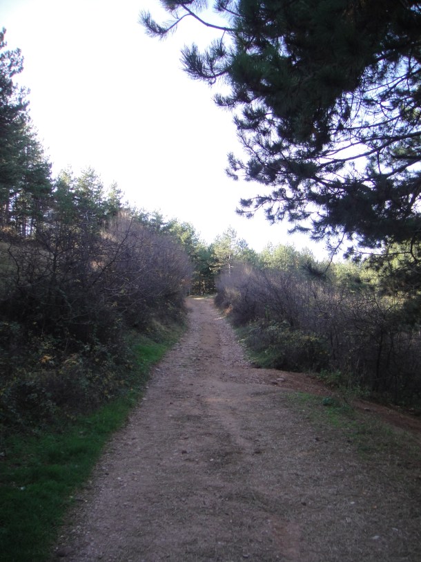 The Bulgarian countryside and the failure of communism