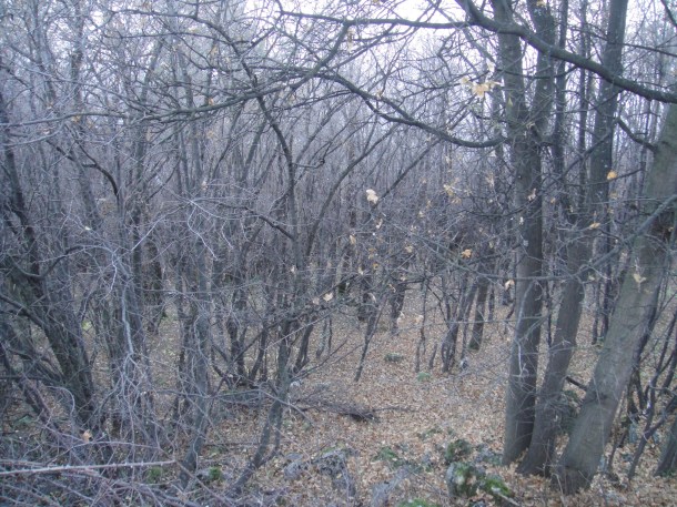 The Bulgarian countryside and the failure of communism