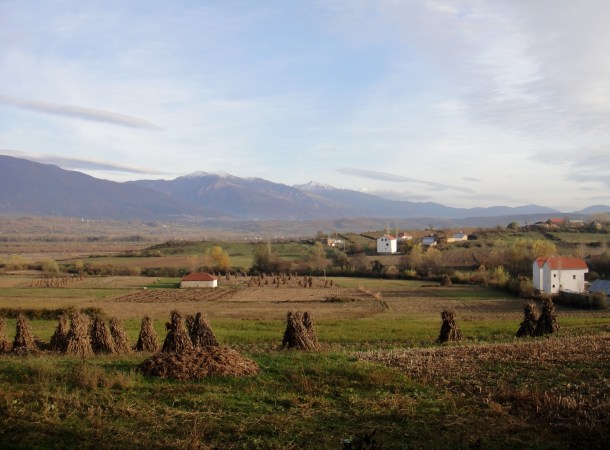 farms-albania
