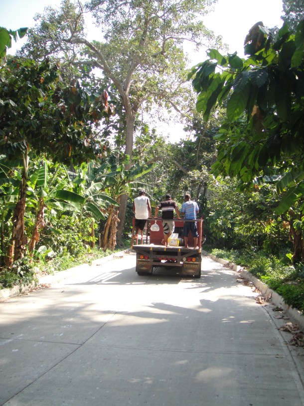 Chuao-banana-plantation