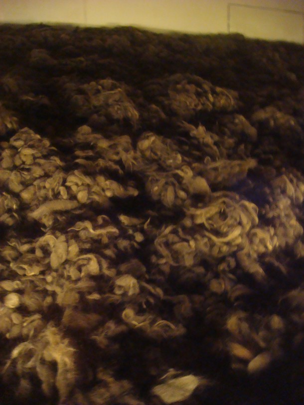 Warehouse of hair taken from murdered Auschwitz prisoners