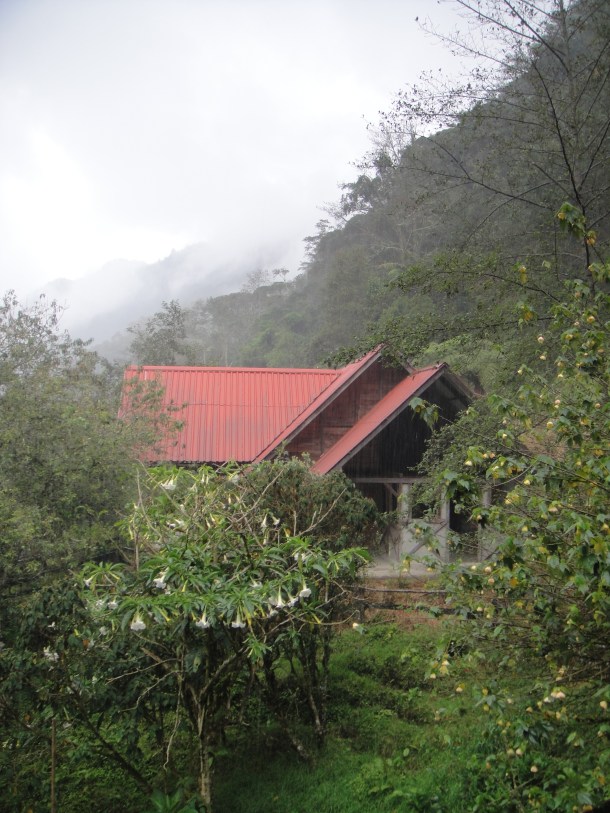 Valle de Cocora