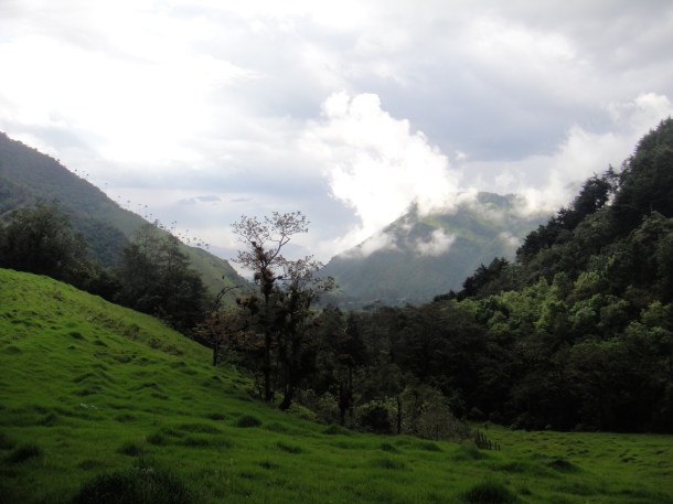 Valle de Cocora