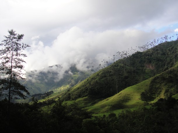 Valle de Cocora