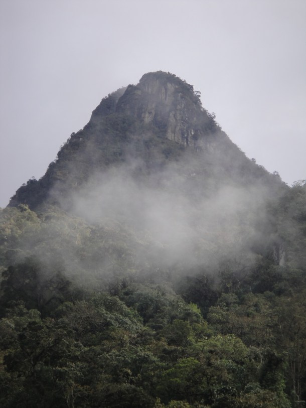 Valle de Cocora