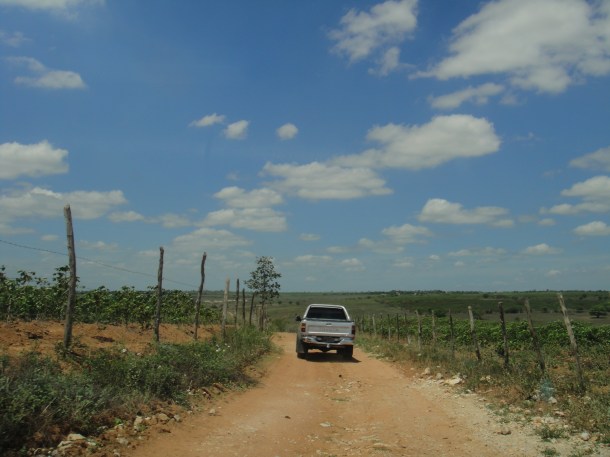 JC's diopside mine in Alagoas, Brazil