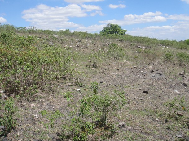 JC's diopside mine in Alagoas, Brazil