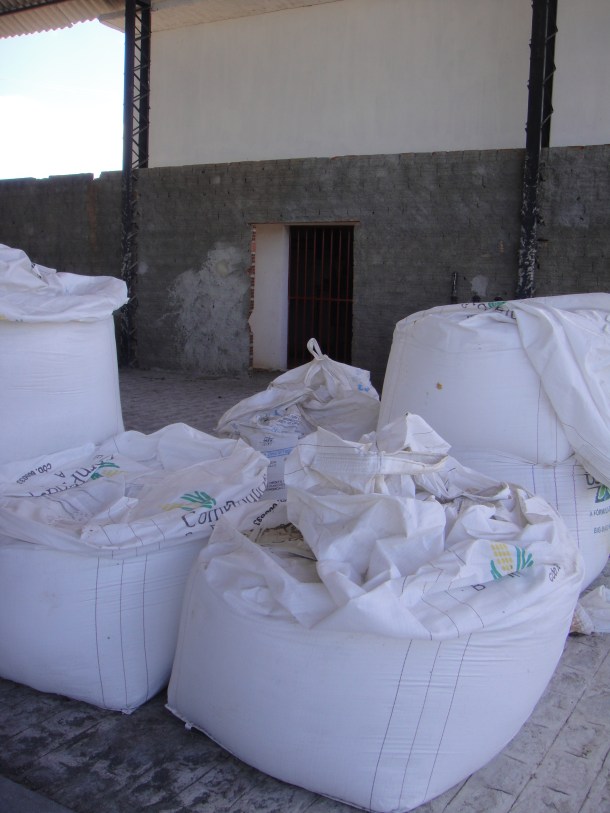 JC's diopside mine in Alagoas, Brazil