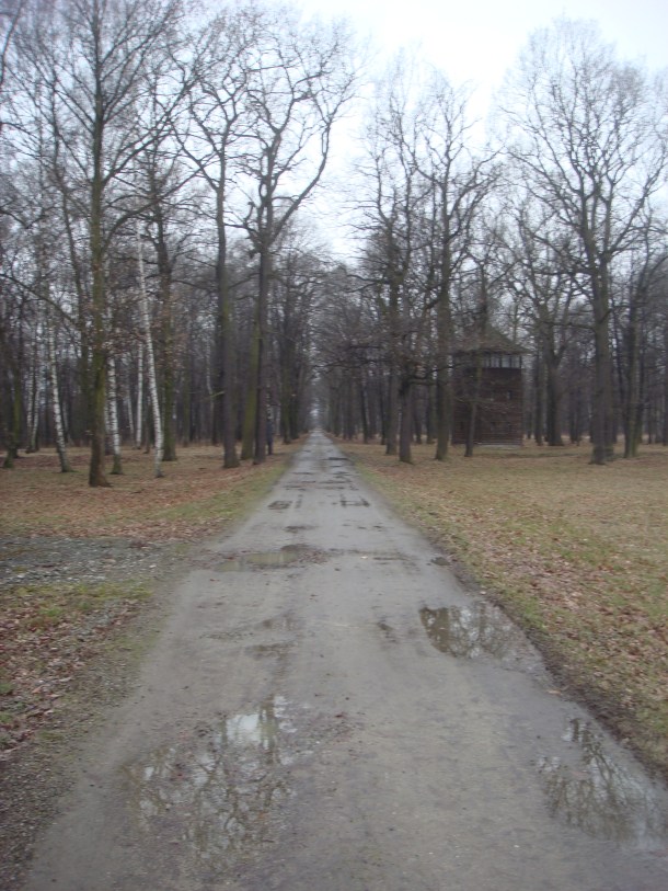 The grounds of Birkenau