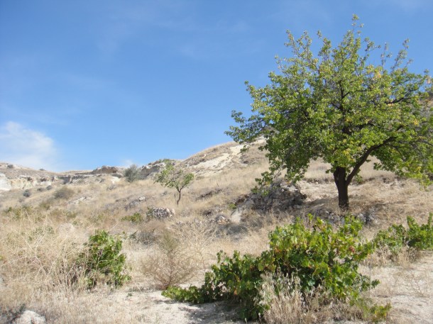 cappadocia-anatolia-turkey (24) Cappadocia in Anatolia, Turkey