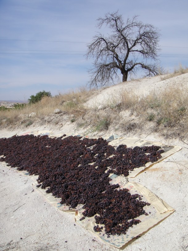 cappadocia-anatolia-turkey (25) Cappadocia in Anatolia, Turkey