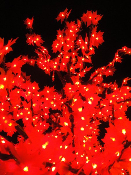 Christmas in Colombia