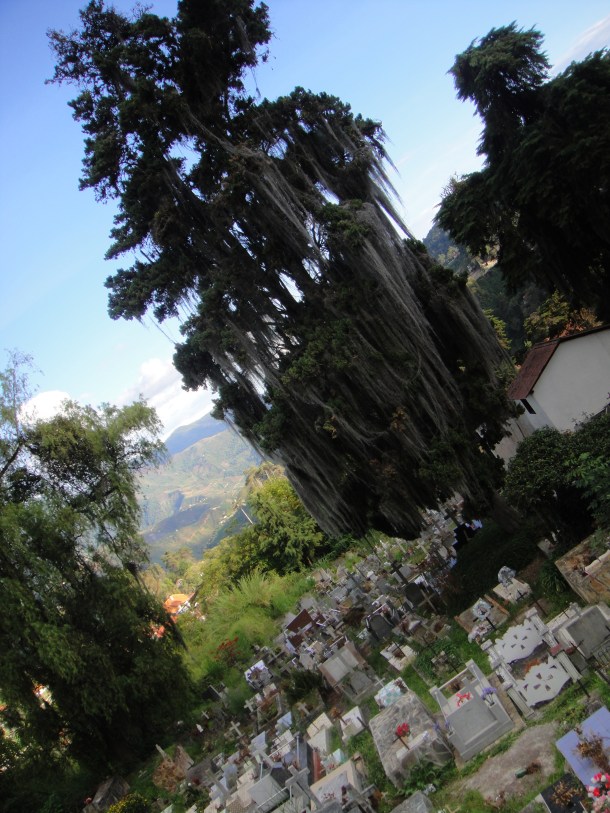 Colonia Tovar, Venezuela