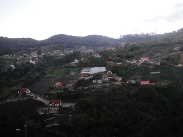 Colonia Tovar, Venezuela