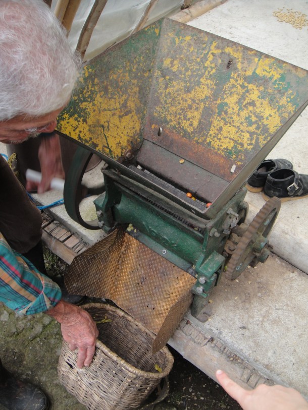 Don Elias and his coffee plantation in Salento, Colombia