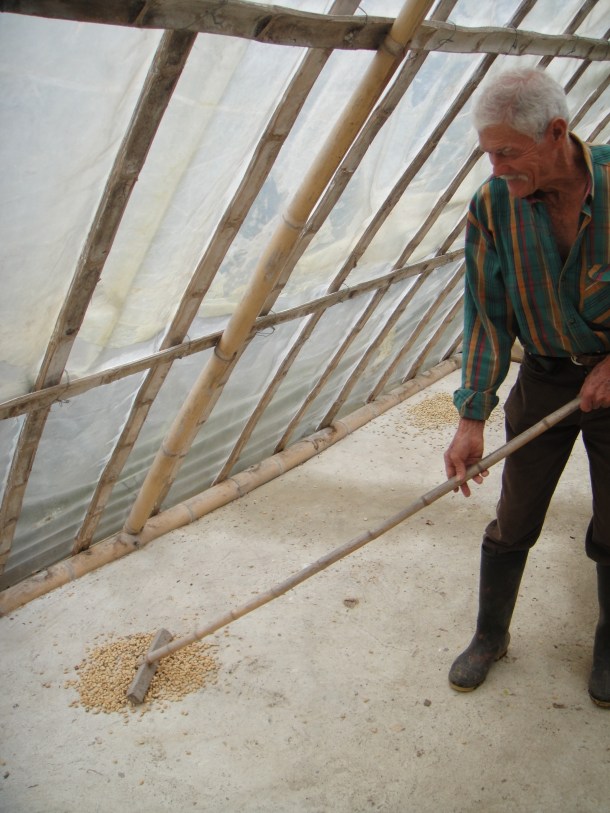 Don Elias and his coffee plantation in Salento, Colombia