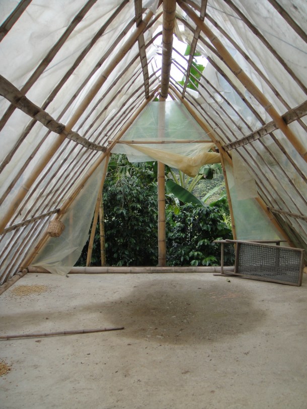 Don Elias and his coffee plantation in Salento, Colombia