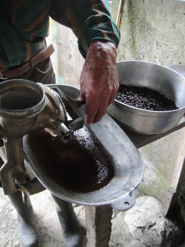 Don Elias and his coffee plantation in Salento, Colombia