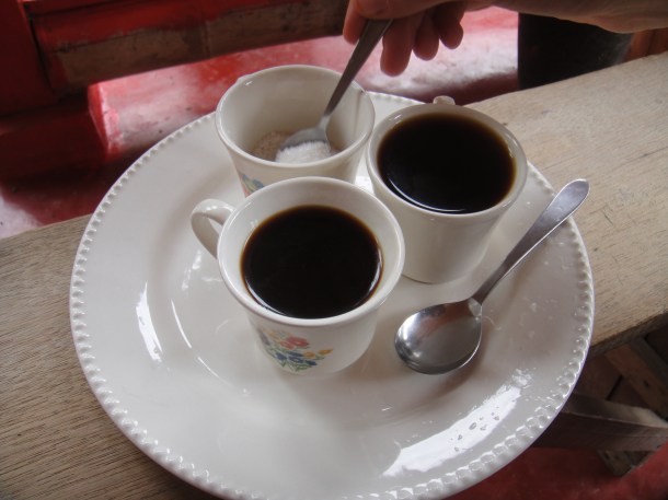 Don Elias and his coffee plantation in Salento, Colombia