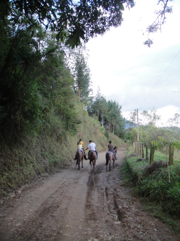 Don Elias and his coffee plantation in Salento, Colombia