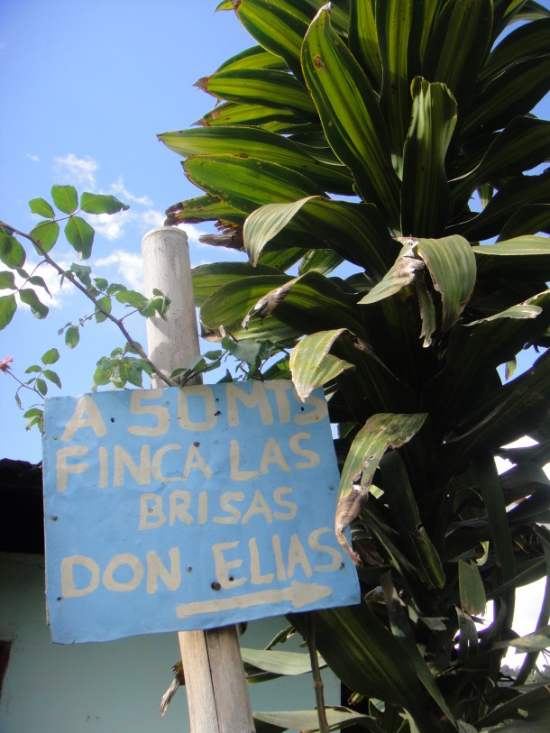 Don Elias and his coffee plantation in Salento, Colombia