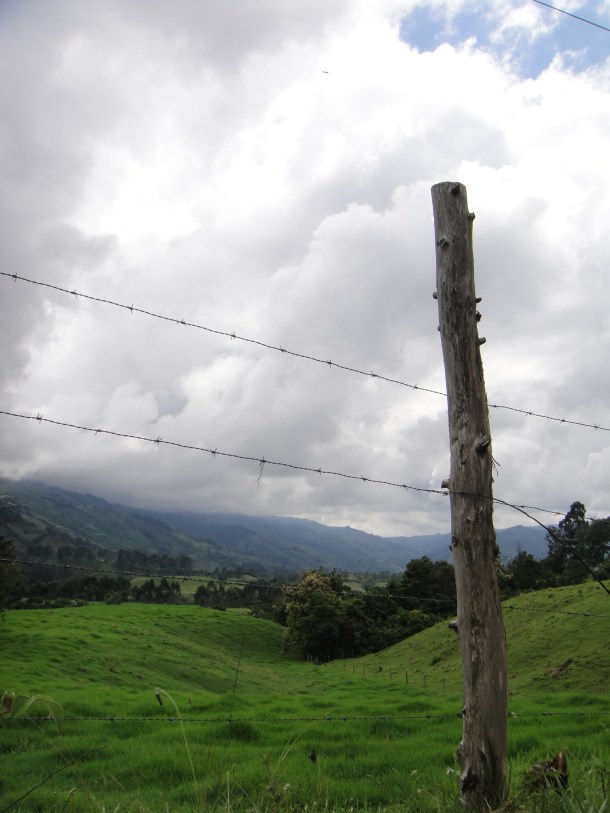 Don Elias and his coffee plantation in Salento, Colombia