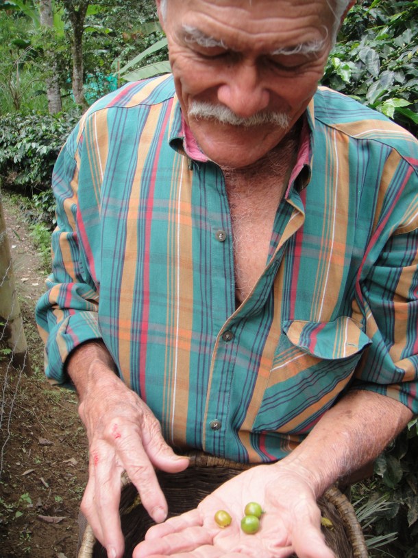 Don Elias and his coffee plantation in Salento, Colombia