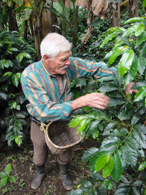 Don Elias and his coffee plantation in Salento, Colombia