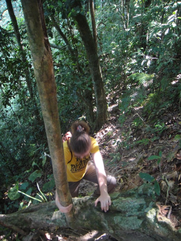 Henri Pittier National Park, Venezuela