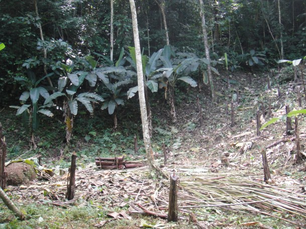 Henri Pittier National Park, Venezuela