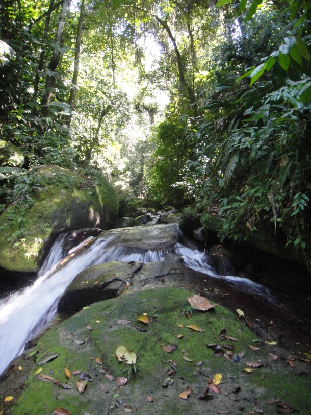 Henri Pittier National Park, Venezuela
