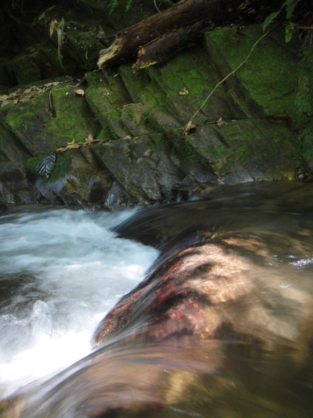 Henri Pittier National Park, Venezuela