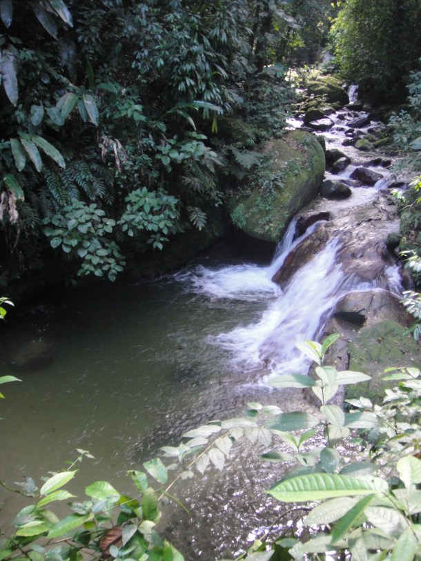 Henri Pittier National Park, Venezuela
