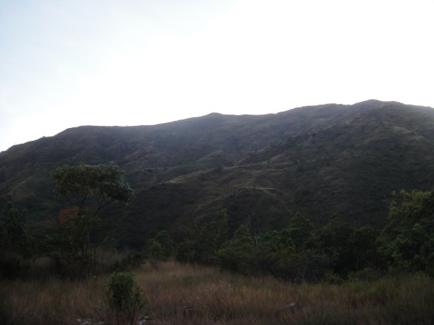 Henri Pittier National Park, Venezuela