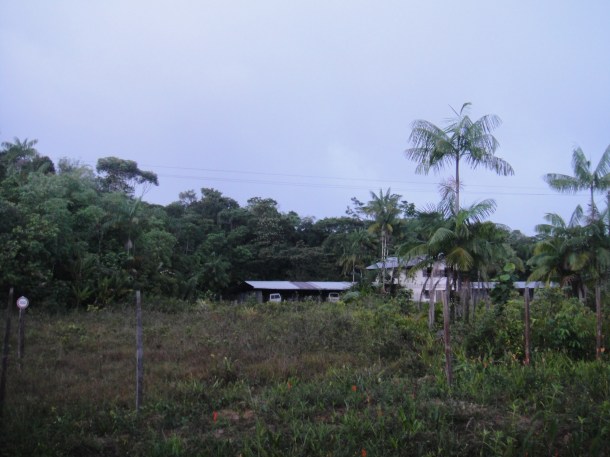 outskirts of Cayenne