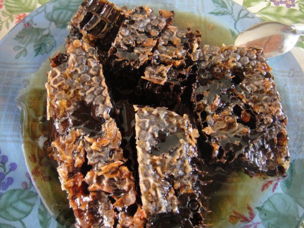 Honeycomb from killer bees...