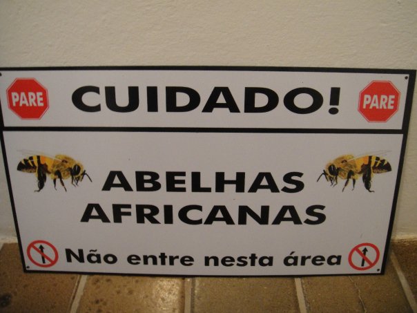 Warning sign for killer bees