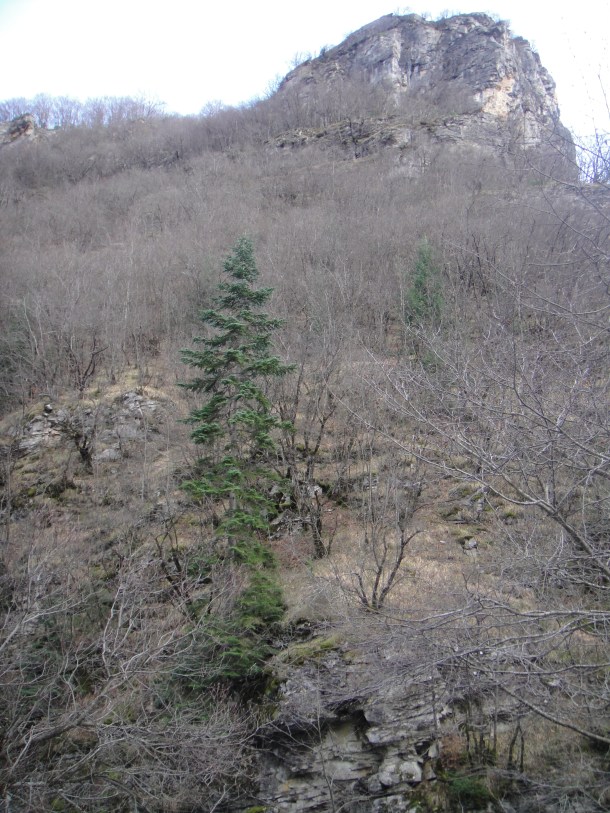 mavrovo national park