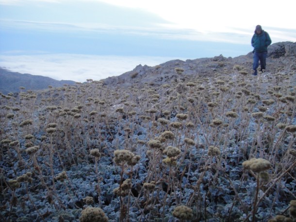 Mount Nemrut, Turkey