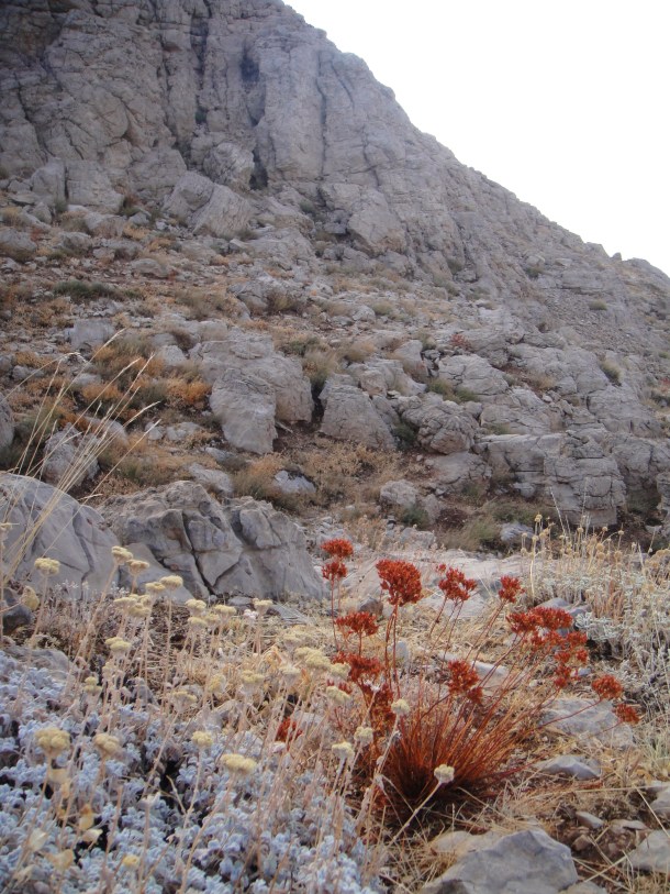 Mount Nemrut, Turkey